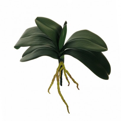 ARTIFICIAL ORCHID BRANCH REAL TOUCH 30CM