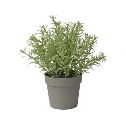 ΓΛΑΣΤΡΑΚΙ ΑΡΙΣΜΑΡΙ 21ΕΚ.