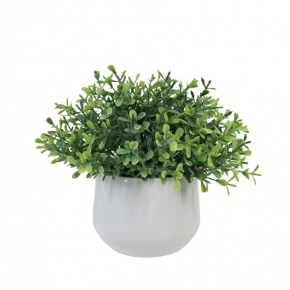 ΓΛΑΣΤΡΑΚΙ ΓΚΡΑΣ 17ΕΚ.