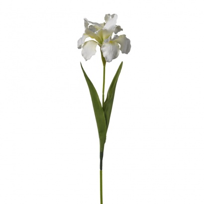 ARTIFICIAL IRIS BRANCH CREAM 63CM