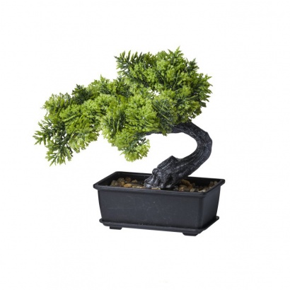 POT WITH MINI BONSAI REAL TOUCH 17CM