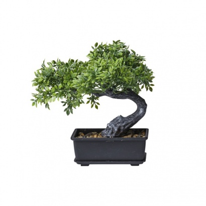POT WITH MINI BONSAI REAL TOUCH 17CM