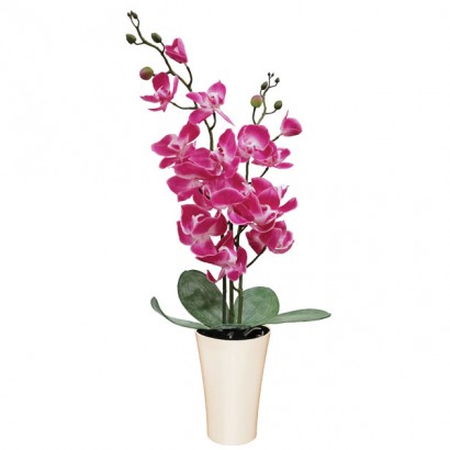 ORCHID IN FLOWER POT REAL TOUCH FUCHSIA 59CM - 1