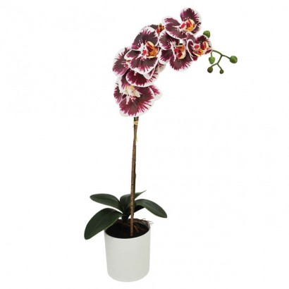 ORCHID REAL TOUCH IN FLOWER POT PURPLE 47CM - 1