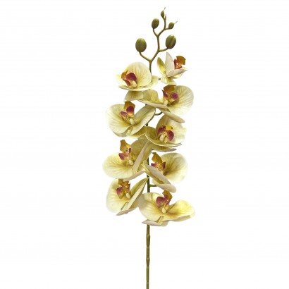 ARTIFICIAL ORCHID BRANCH REAL TOUCH GREEN 94CM - 1