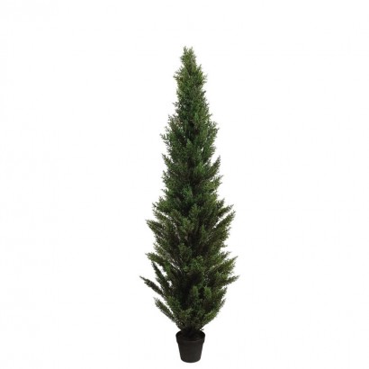 ARTIFICAL CYPRESS TREE REAL TOUCH 180CM - 1