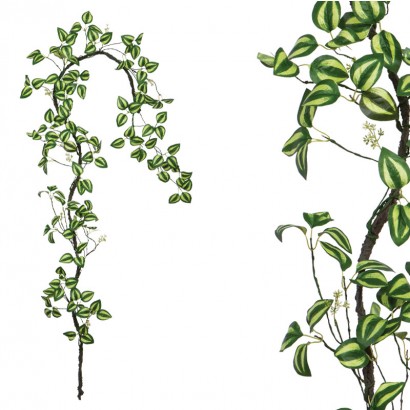 ΤΕΧΝΗΤΗ ΓΙΡΛΑΝΤΑ ΤΡΑΔΕΣΚΑΝΤΙΑ ΑΝΟΙΚΤΟ ΠΡΑΣΙΝΟ 240ΕΚ.