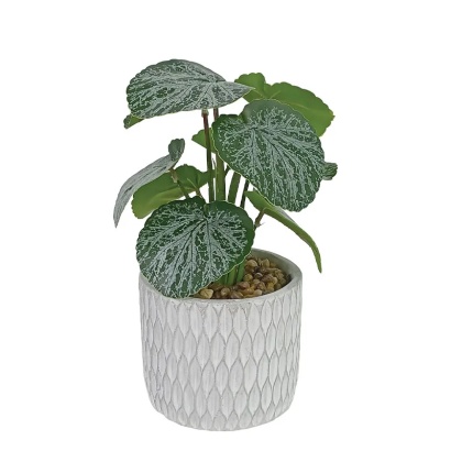 BEGONIA LEAF IN FLOWER POT REAL TOUCH 28CM